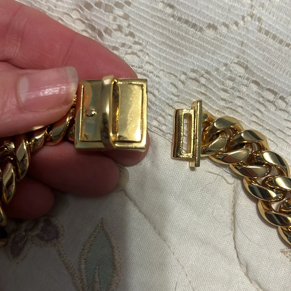 Stylish dog chain